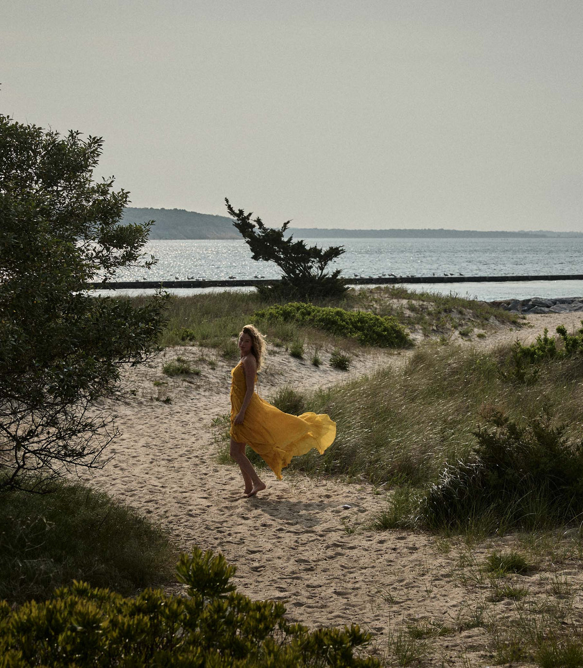 EVELINA DRESS -- GOLDEN ACACIA